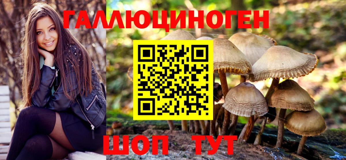 Галлюциногенные грибы Psilocybine cubensis  Вход с VPN  Галлюциногенные грибы Magic Shrooms  что такое наркотик  Ухта 